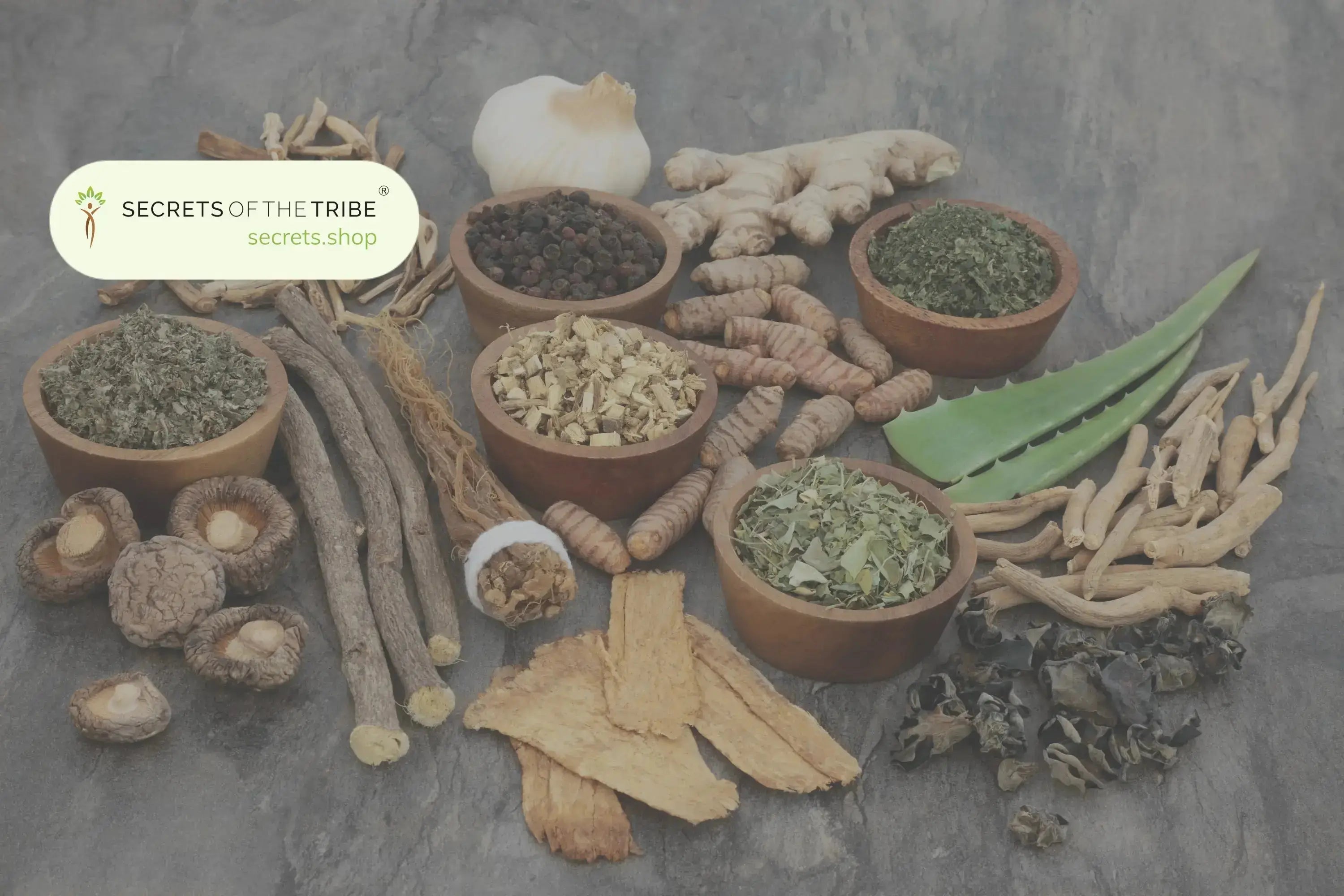 Natural Remedies: 5 Plants Worth Getting to Know -  Secrets Of The Tribe 