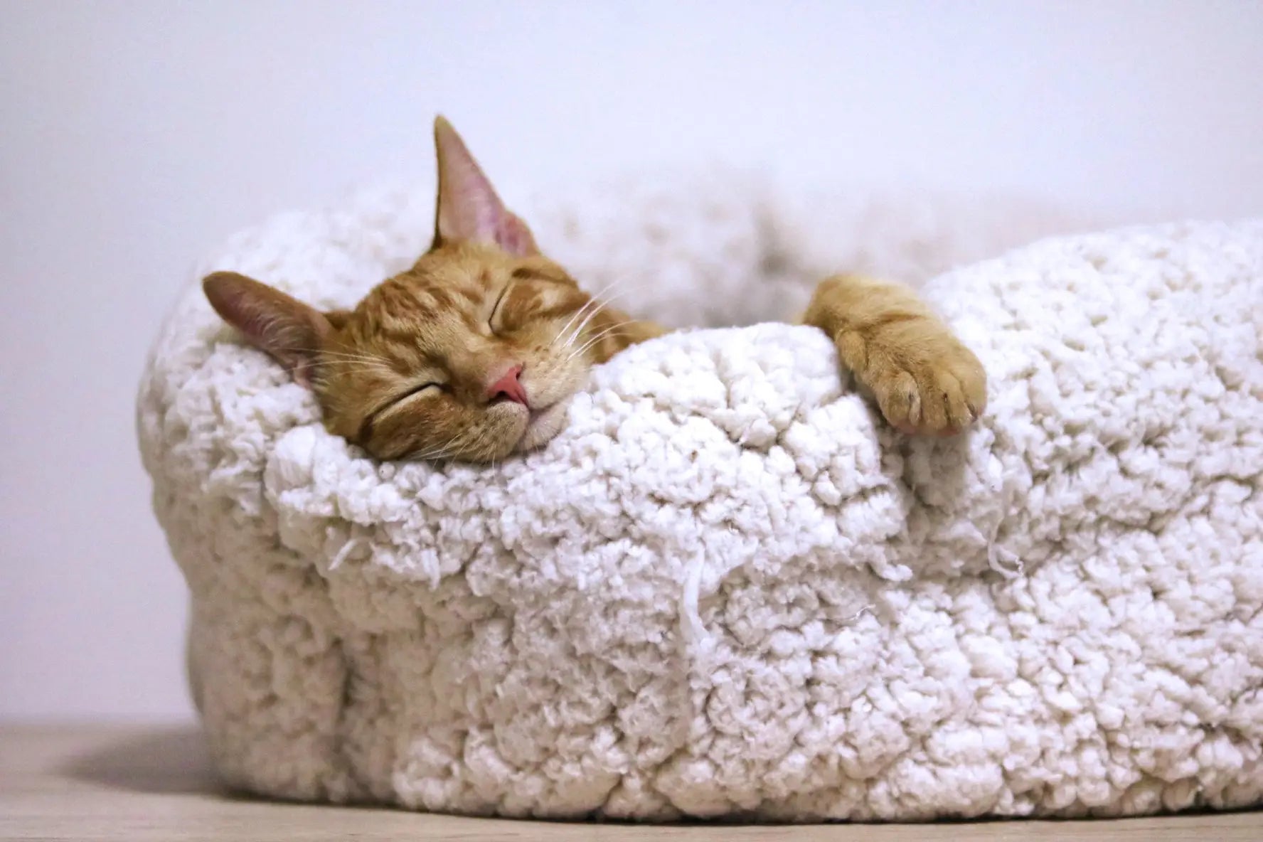 Sleep-Hygiene-What-is-It-and-Why-is-It-Important Secrets Of The Tribe 