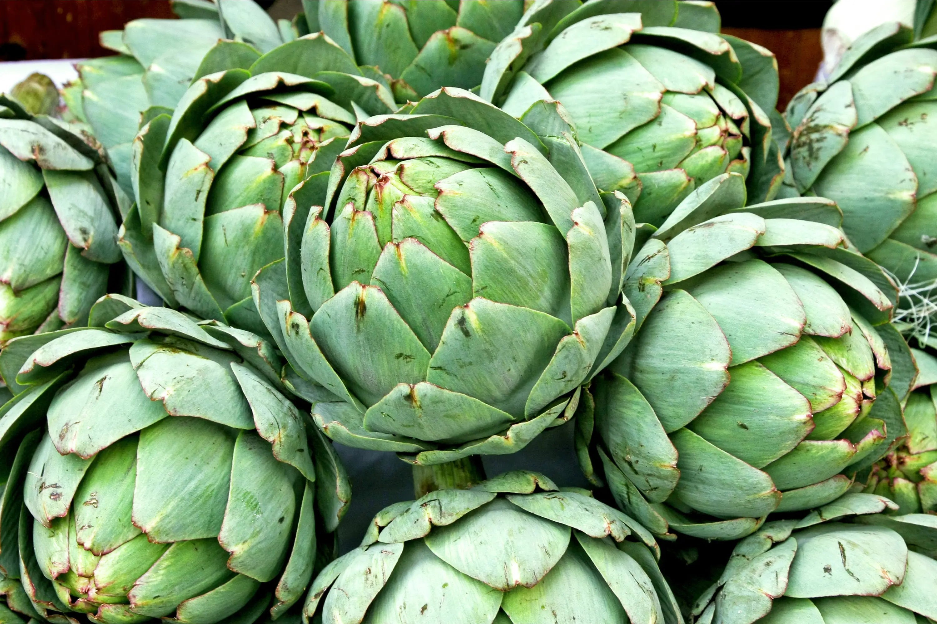 The-Incredible-Artichoke-Health-Benefits-What-You-Need-to-Know Secrets Of The Tribe 