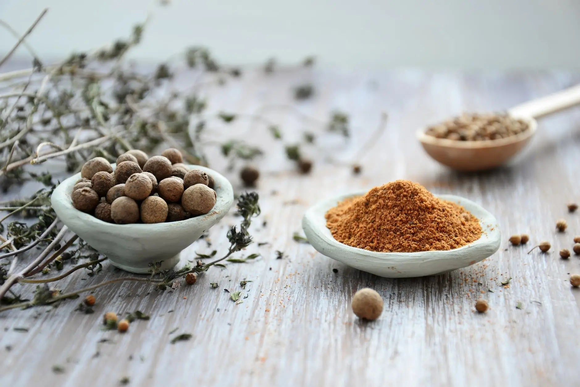 Traditional-to-Mainstream-Medicine Secrets Of The Tribe 