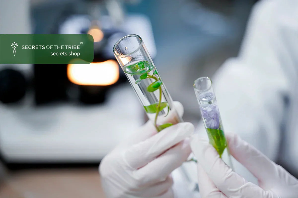 Organically Rooted: How USDA Certification Supports Herbal Purity -  Secrets Of The Tribe 