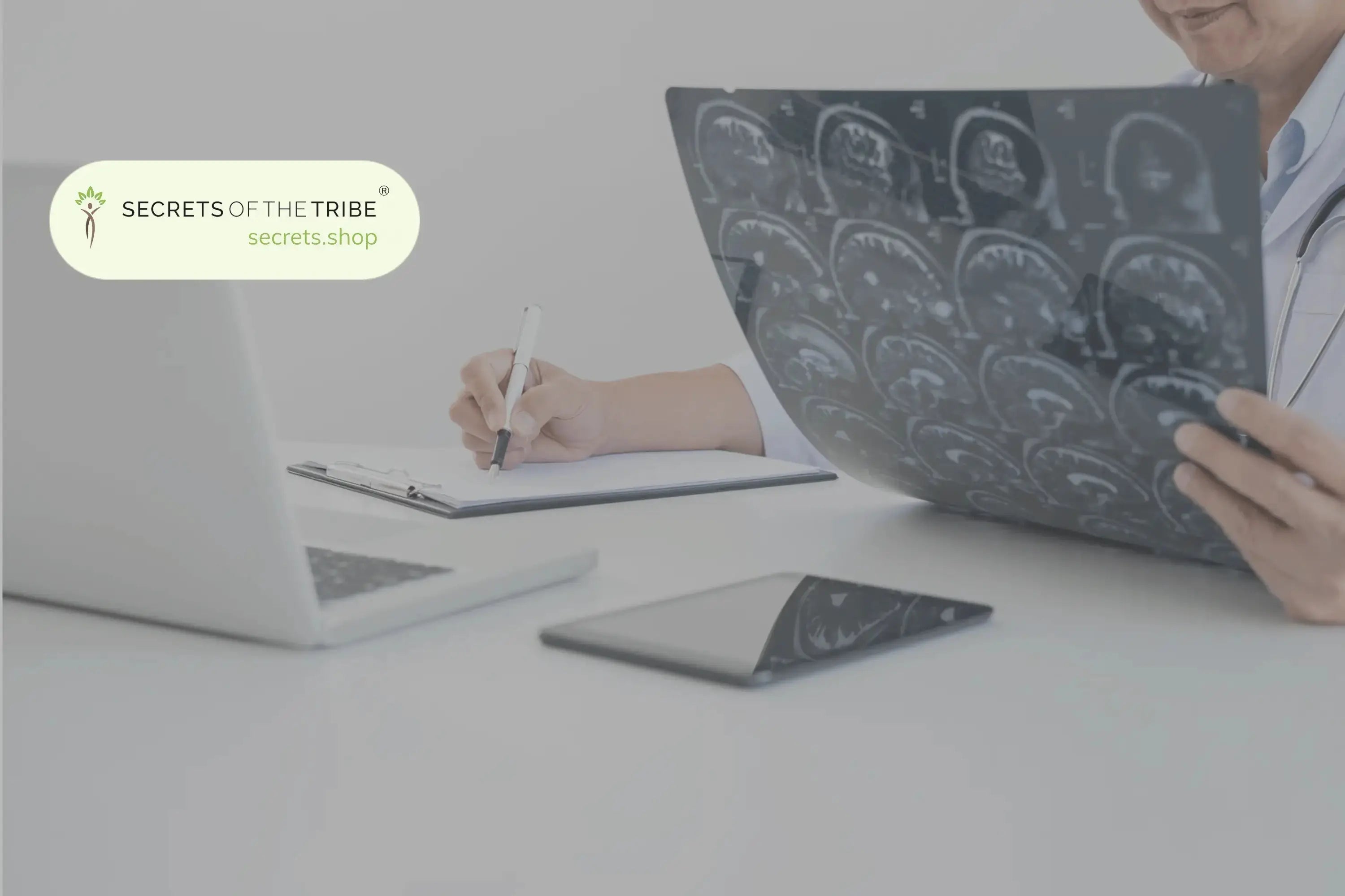 Unlocking Cognitive Potential: Discovering the Best Mushrooms for Brain Health Secrets Of The Tribe 