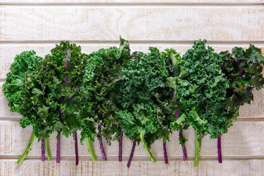 What-Foods-Are-Useful-to-Increase-Iron-Levels Secrets Of The Tribe 