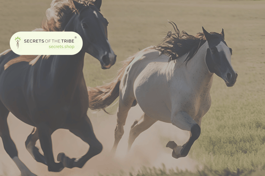 What Is the Best Horse Joint Supplement? Top 4 Equine Joint Supplements