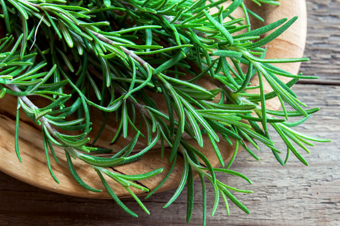 Rosemary's Skin & Hair Benefits: A Natural Beauty Solution