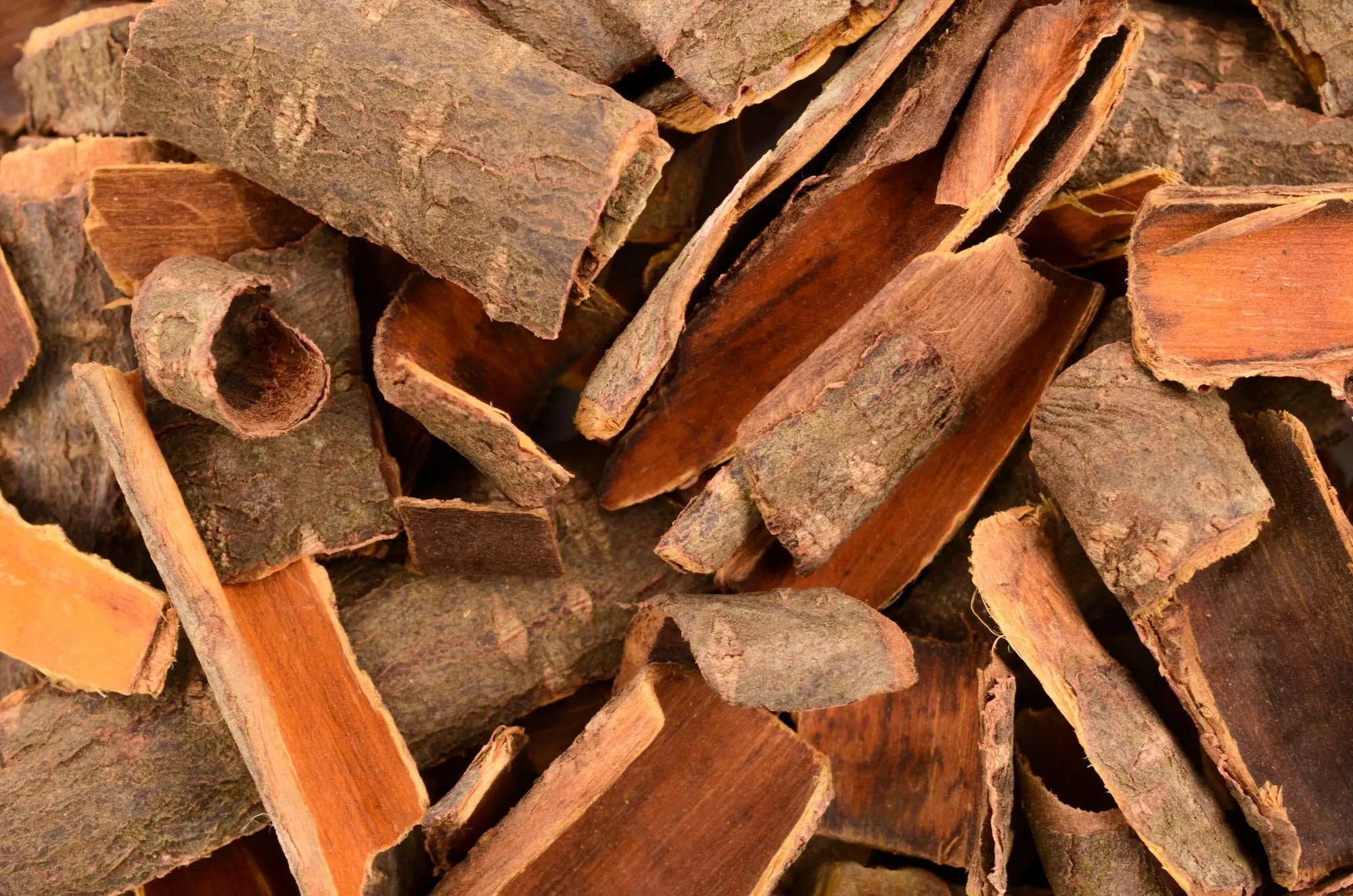 Learn-the-Herbs-Cascara Secrets Of The Tribe