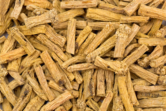 Learn the Herbs: Danshen Root