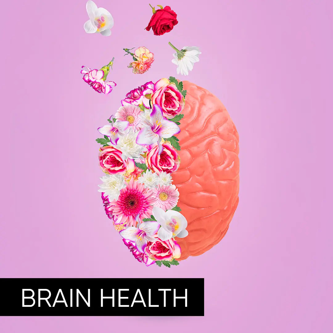 Herbal supplements for natural brain health support