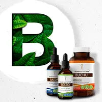 B Secrets Of The Tribe 