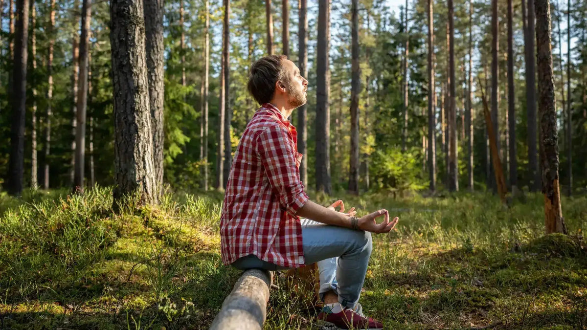 Calm-Relaxation -  Secrets Of The Tribe 