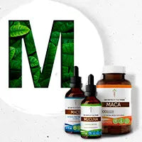 M Secrets Of The Tribe 