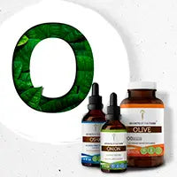 O Secrets Of The Tribe 
