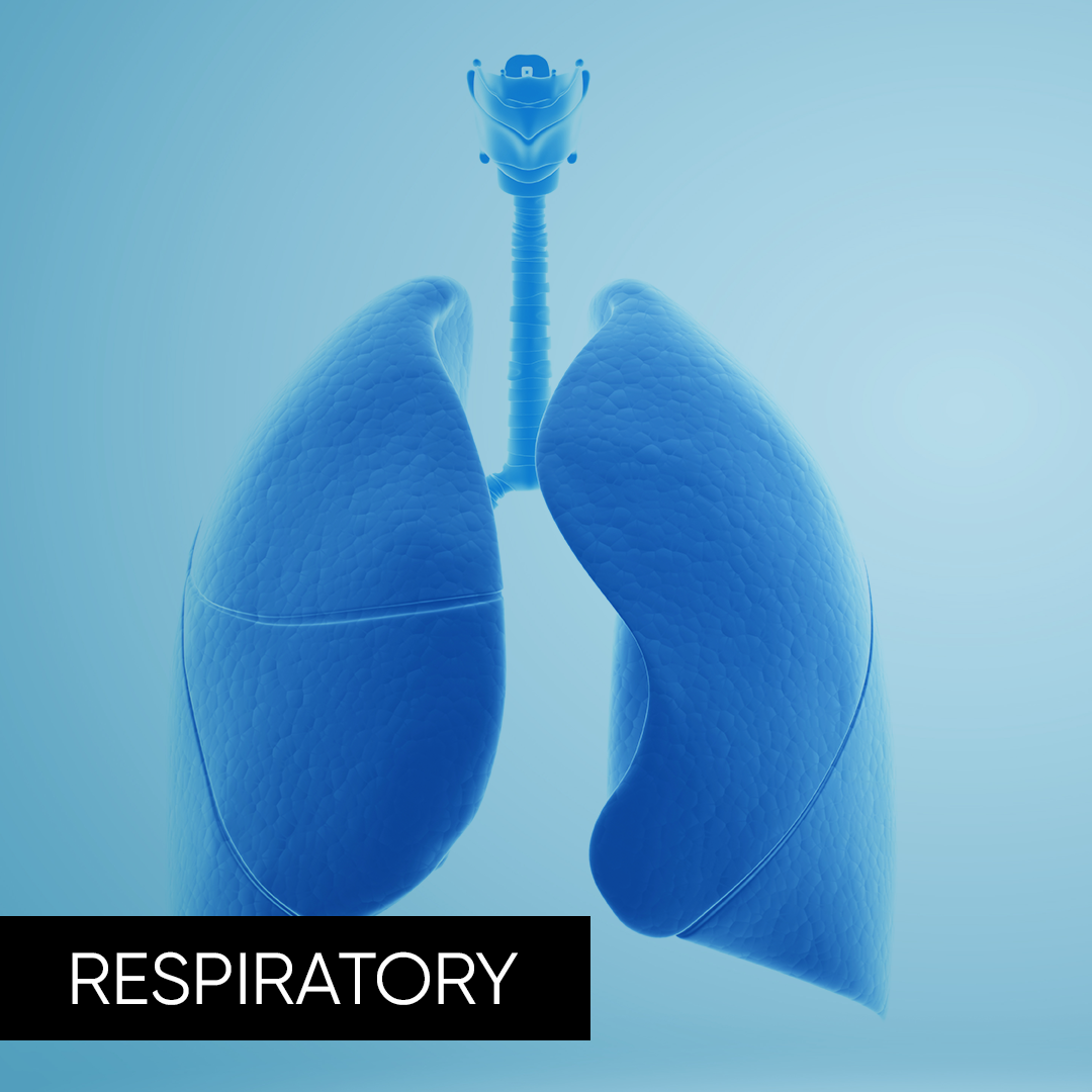 Respiratory. Buy herbal supplements for respiratory health support ...