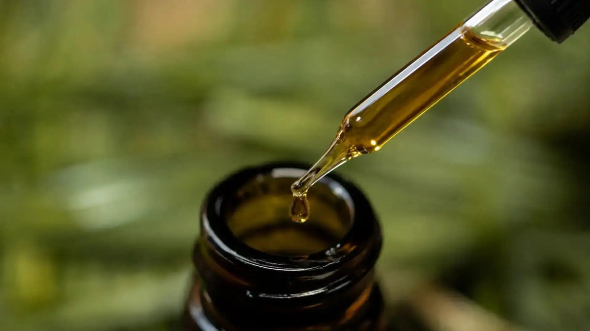 Tinctures -  Secrets Of The Tribe 
