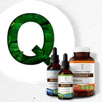Understanding-Q-A-Comprehensive-Overview Secrets Of The Tribe 