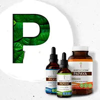 Understanding-the-Importance-of-P Secrets Of The Tribe 