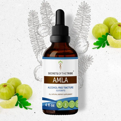 Amla Tincture - Secrets Of The Tribe 