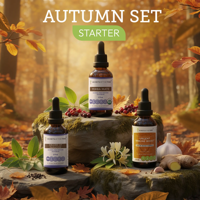 Autumn Anchor Trio: Energy, Immunity & Digestion Support Secrets Of The Tribe Tincture Secrets Of The Tribe 