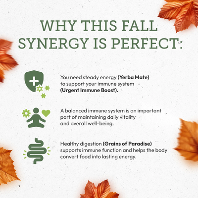 Autumn Anchor Trio: Energy, Immunity & Digestion Support Secrets Of The Tribe Tincture Secrets Of The Tribe 