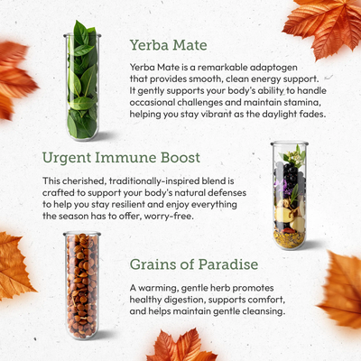 Autumn Anchor Trio: Energy, Immunity & Digestion Support Secrets Of The Tribe Tincture Secrets Of The Tribe 