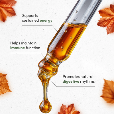 Autumn Anchor Trio: Energy, Immunity & Digestion Support Secrets Of The Tribe Tincture Secrets Of The Tribe 