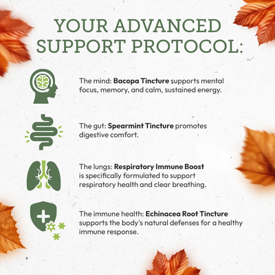 Autumn Herbal Support Bundle: Advanced Seasonal Support Secrets Of The Tribe  Secrets Of The Tribe 