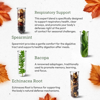 Autumn Herbal Support Bundle: Advanced Seasonal Support Secrets Of The Tribe  Secrets Of The Tribe 