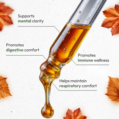 Autumn Herbal Support Bundle: Advanced Seasonal Support Secrets Of The Tribe  Secrets Of The Tribe 