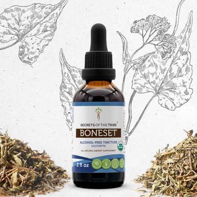Buy Boneset Tincture online - Secrets Of The Tribe