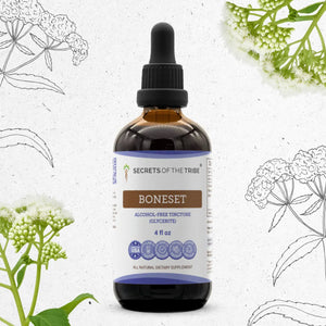 Boneset Tincture - immune support Secrets Of The Tribe Tincture Secrets Of The Tribe 