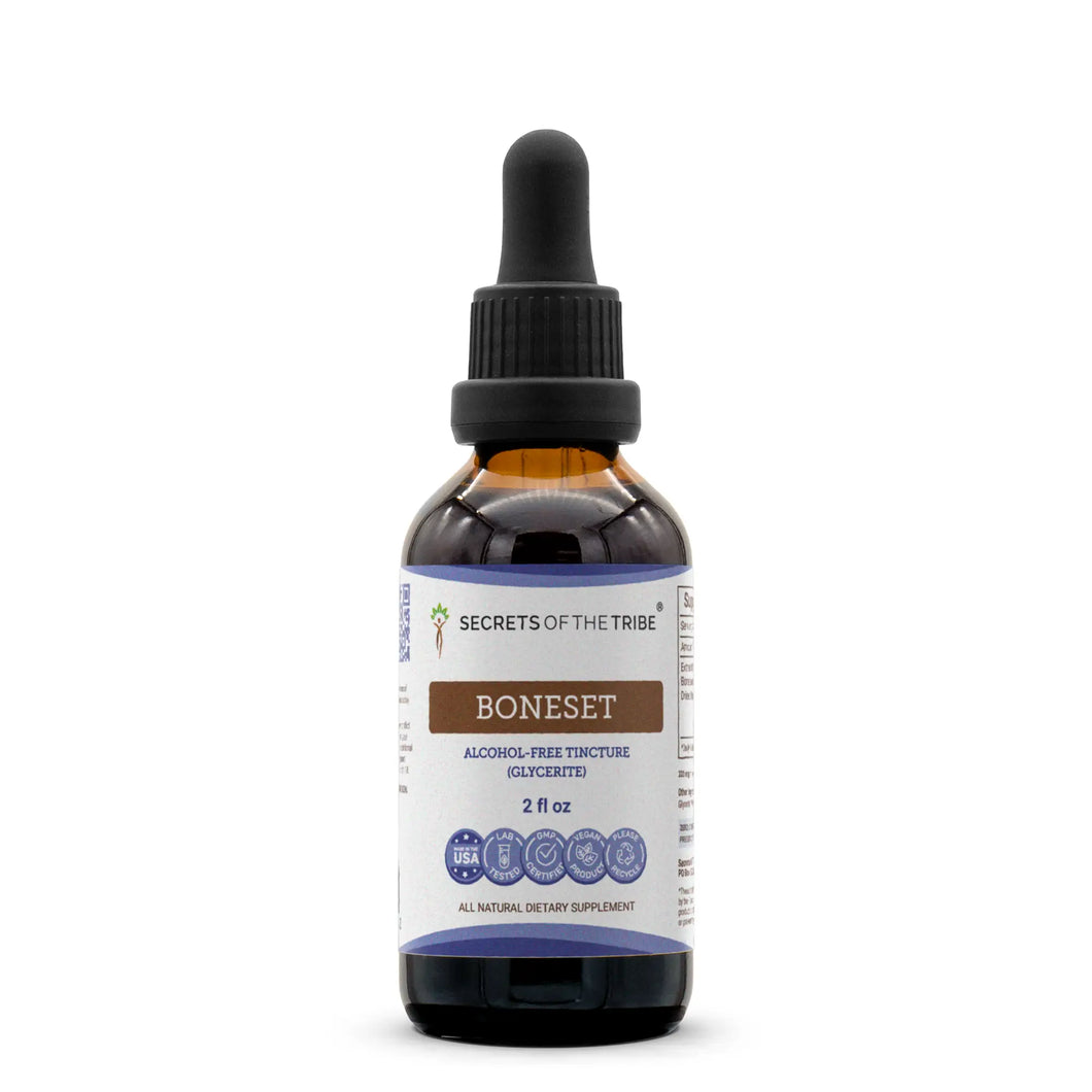 Boneset Tincture - immune support Secrets Of The Tribe Tincture Secrets Of The Tribe 