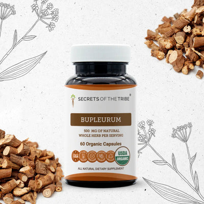 Buy Bupleurum Capsules online - Secrets Of The Tribe