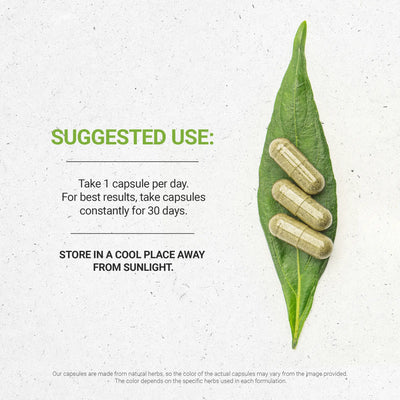 Buy Bupleurum Capsules online - Secrets Of The Tribe