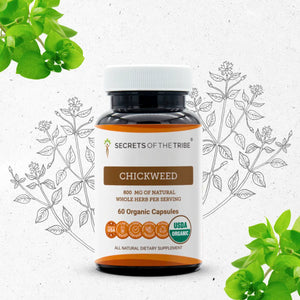 Chickweed Capsules Secrets Of The Tribe Capsules Secrets Of The Tribe 