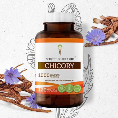 Chicory Capsules Secrets Of The Tribe Capsules Secrets Of The Tribe 