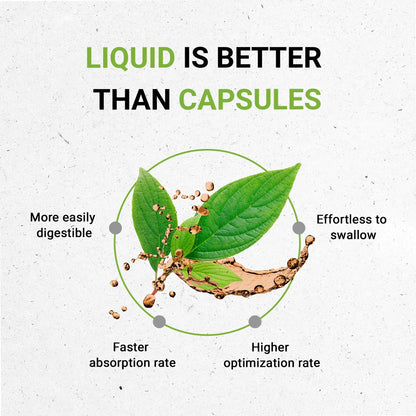 Chicory Tincture Secrets Of The Tribe Tincture Secrets Of The Tribe 