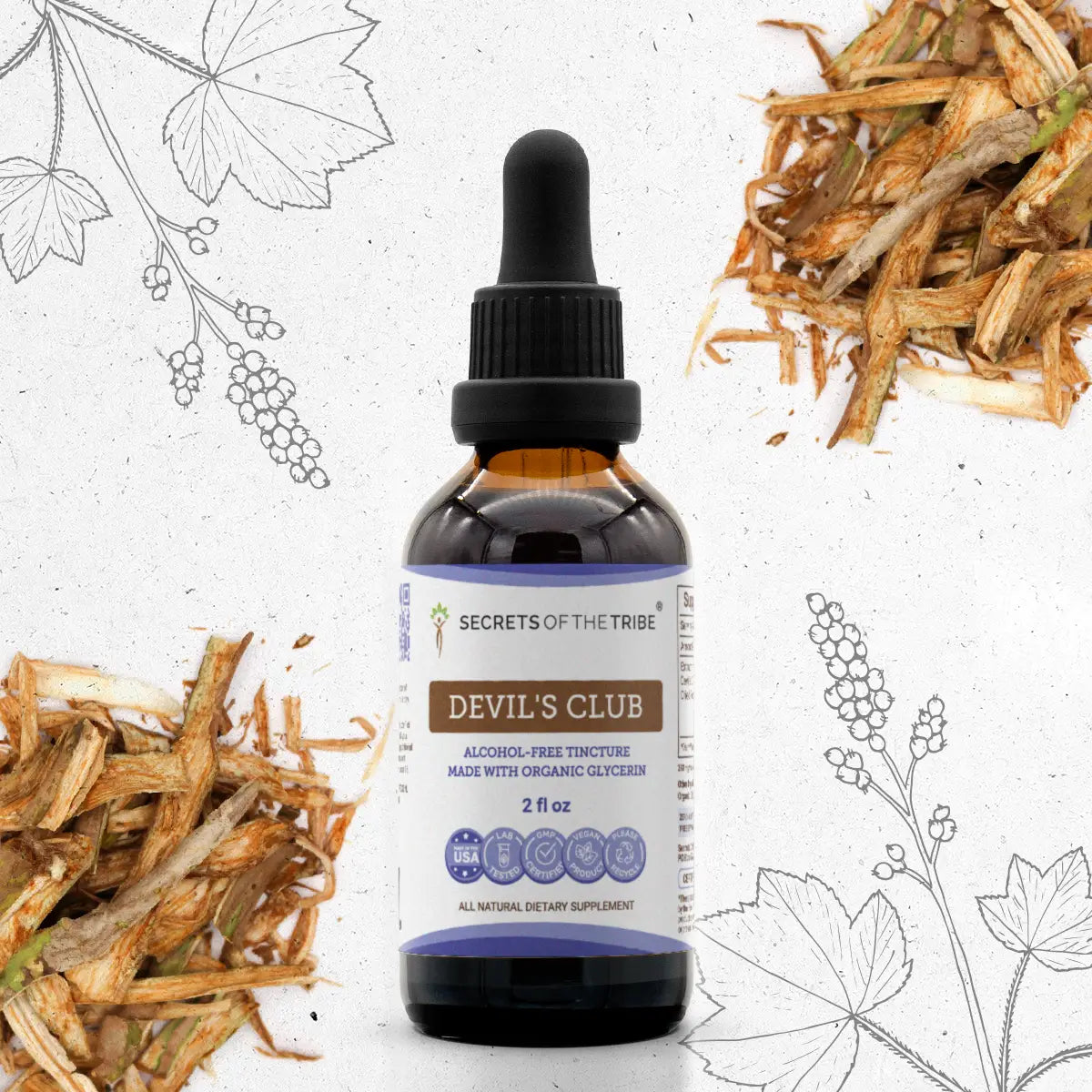Buy Devil's Club Tincture online - Secrets Of The Tribe