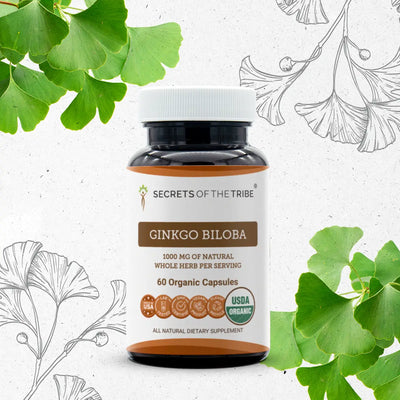 Buy Ginkgo Biloba Capsules online - Secrets Of The Tribe