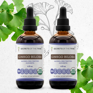 Ginkgo Biloba Tincture Secrets Of The Tribe Tincture Secrets Of The Tribe 
