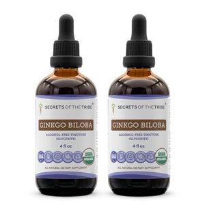 Ginkgo Biloba Tincture Secrets Of The Tribe Tincture Secrets Of The Tribe 