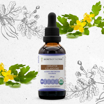 Buy Greater Celandine Tincture online - Secrets Of The Tribe