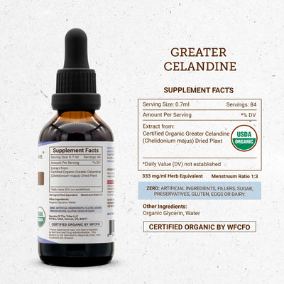 Buy Greater Celandine Tincture online - Secrets Of The Tribe