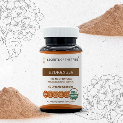 Buy Hydrangea Capsules online - Secrets Of The Tribe