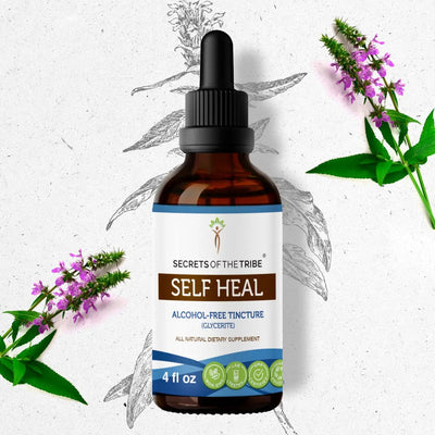 Self Heal Tincture - Secrets Of The Tribe 
