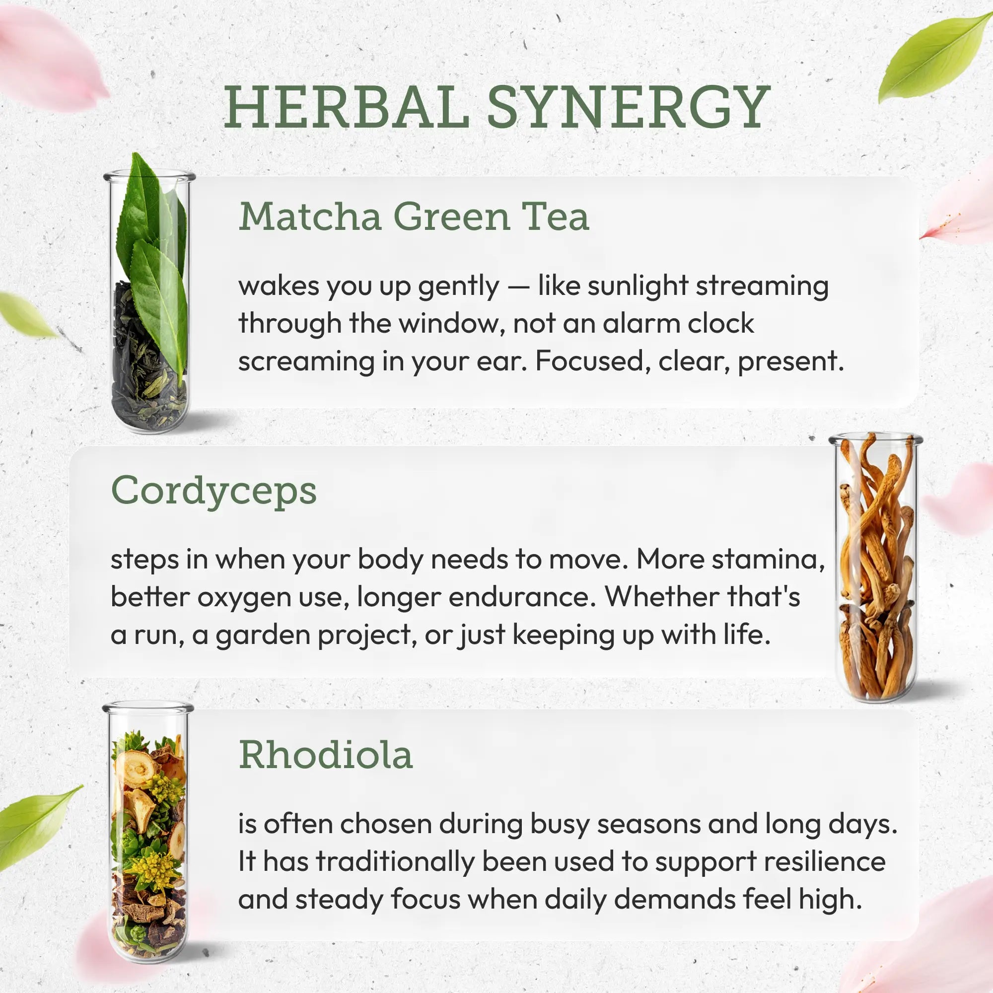 Buy Spring Energy Kit online - Secrets Of The Tribe