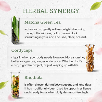 Buy Spring Energy Kit online - Secrets Of The Tribe