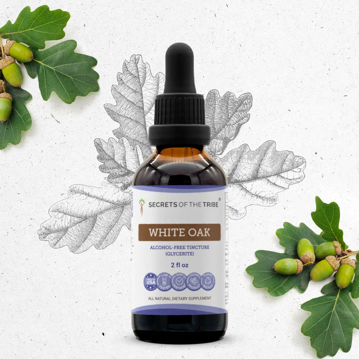 Buy White Oak Tincture online - Secrets Of The Tribe 