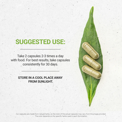 Witch Hazel Bark Capsules Secrets Of The Tribe Capsules Secrets Of The Tribe