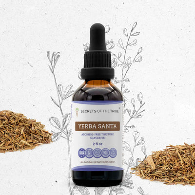 Yerba Santa Tincture Secrets Of The Tribe Tincture Secrets Of The Tribe