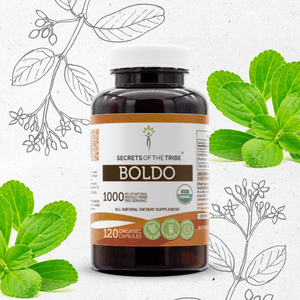 Secrets Of The Tribe Boldo Capsules buy online 